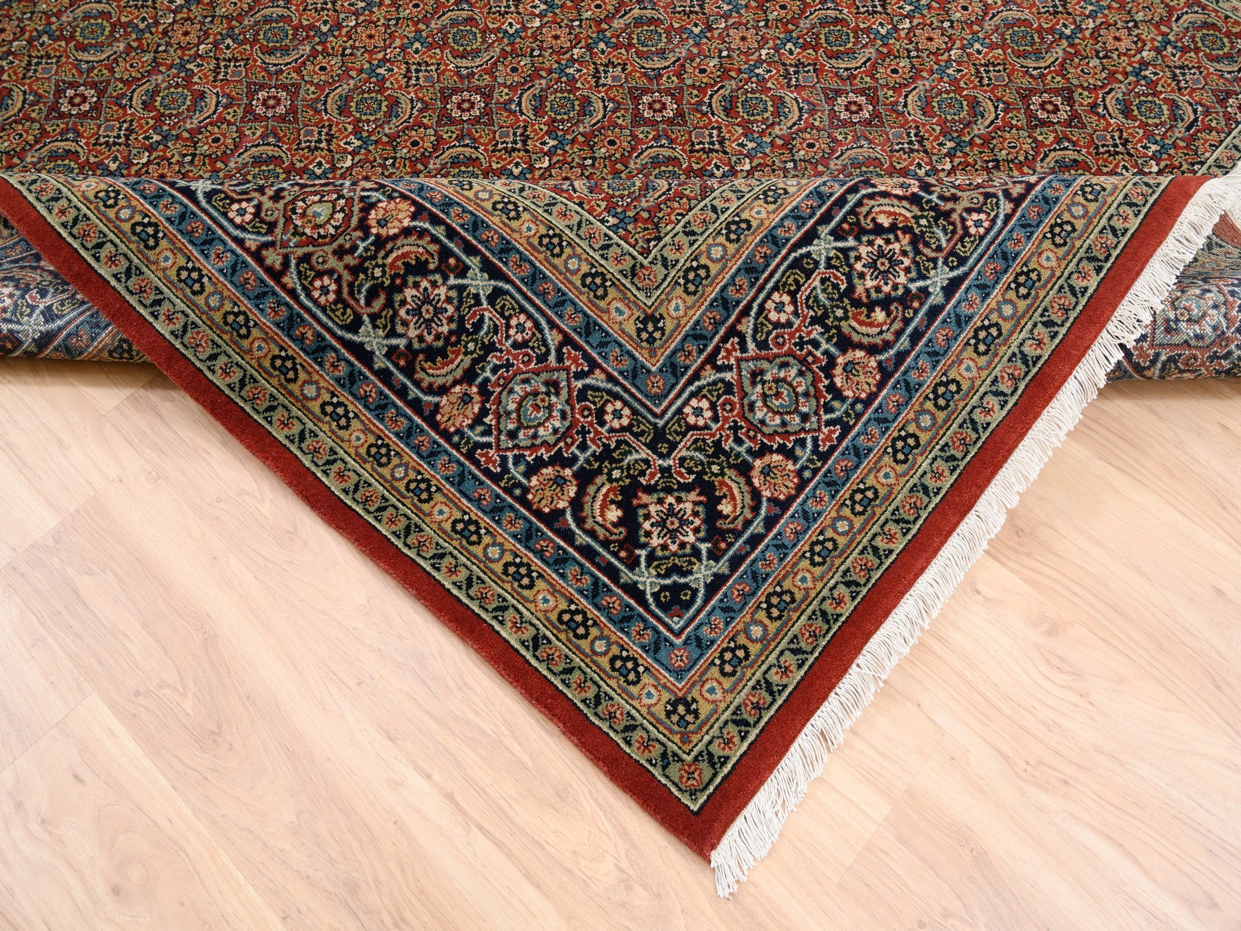 Traditional Rugs LUV566883